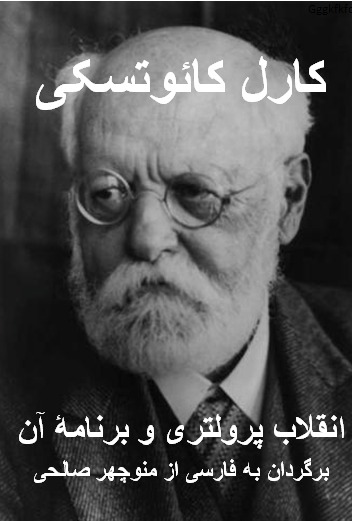 کارل کائوتسکی، انقلاب پرولتری و برنامه آن